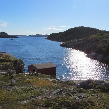 The Old Salt Box Co. - Daisy'S Place Herring Neck Экстерьер фото